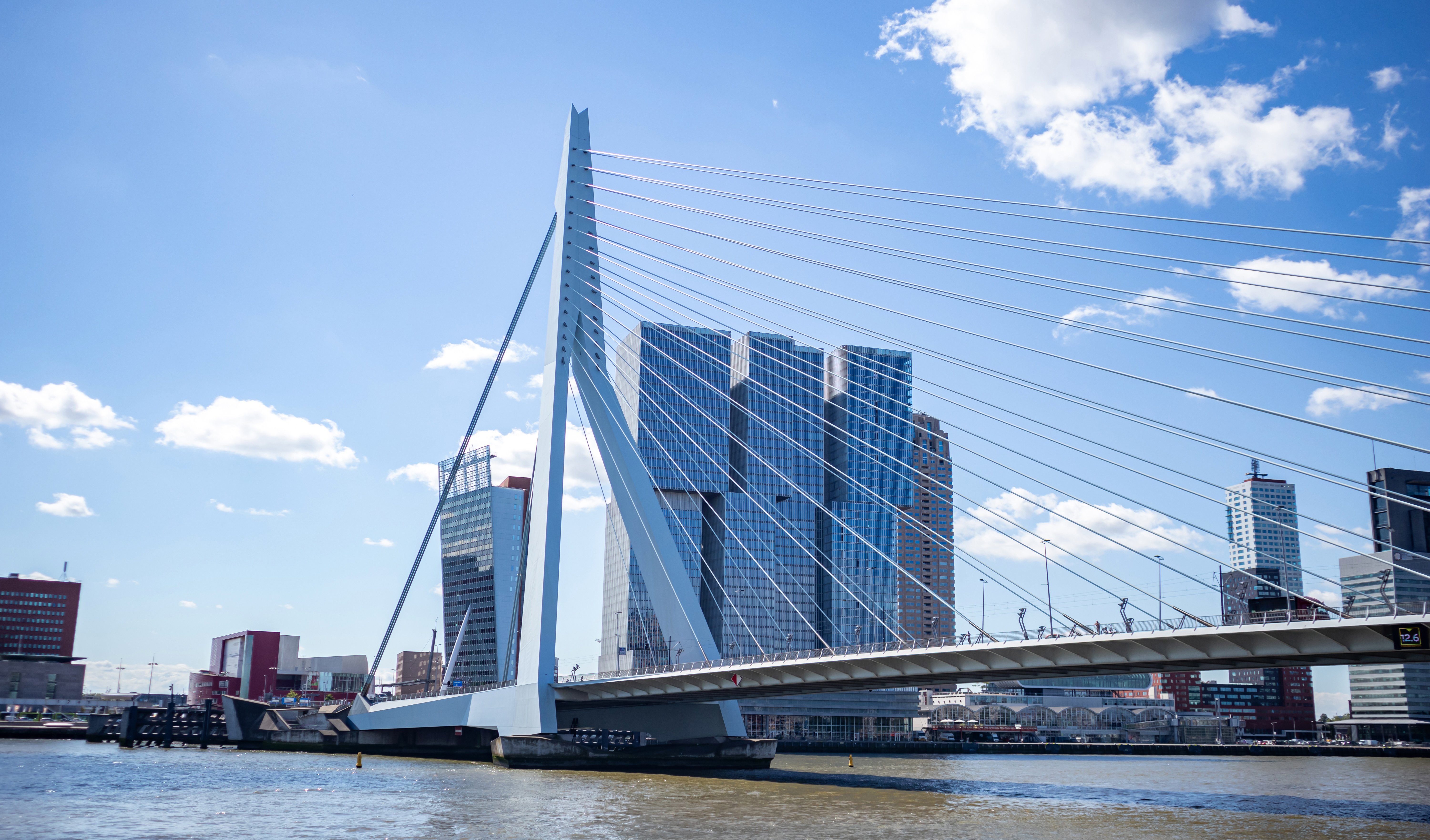 cityscape-erasmus-bridge-rotterdam-netherlands